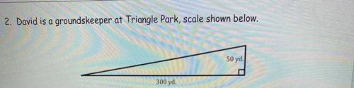 David is a groundskeeper at Triangle Park, scale shown below.

David needs to cut the grass four t