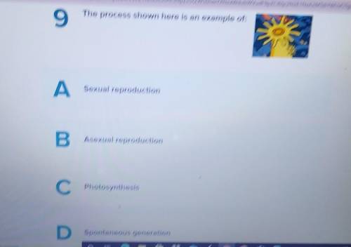 9 The process shown here is an example of: A Sexual reproduction B Asexual reproduction C Photosynt