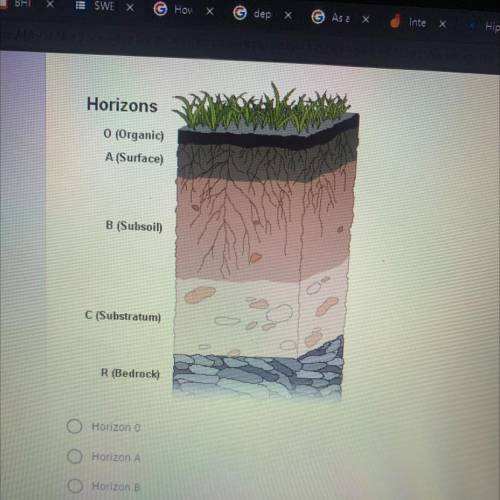 The richest layer of soil would be found at

Horizon 0
Horizon A
Horizon B
Horizon C
Bedrock