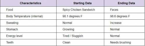 What 3 energy transformations occur after eating a spicy chicken sandwich, what change(s) (physical