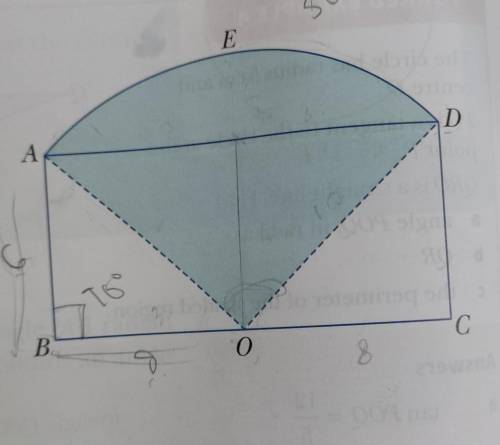 5. ABCD is a rectangle with AB = 6 cm and BC = 16 cm.

O is the midpoint of BC.OAED is a sector of