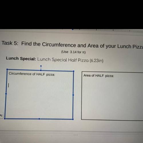 Please help I need to find the area and circumference of halve the pizza.