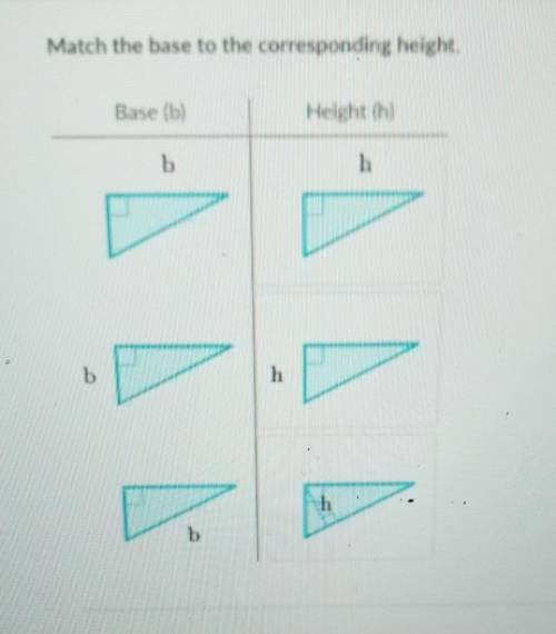 Match the base to the corresponding height​