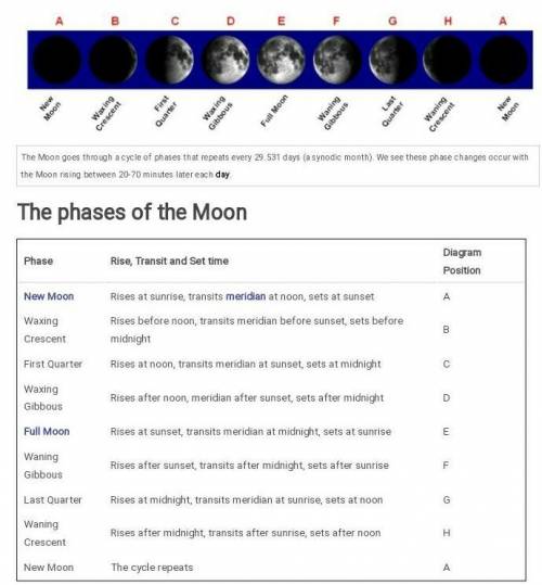 When does the first quarter phase of the moon occur?

a. two weeks after the new moon phase 
b. thr