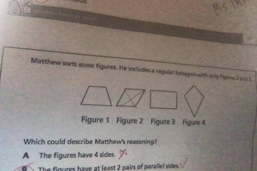 Matthew sorts some figures. He includes a regular hexagon with only figures 2 and 3.

Which could