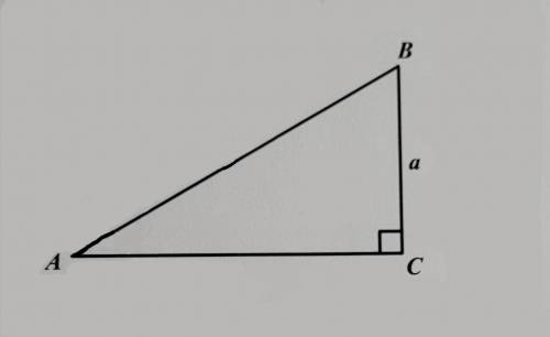 How can I solve the statement below?

Solve for angle A in the right triangle below, given that b