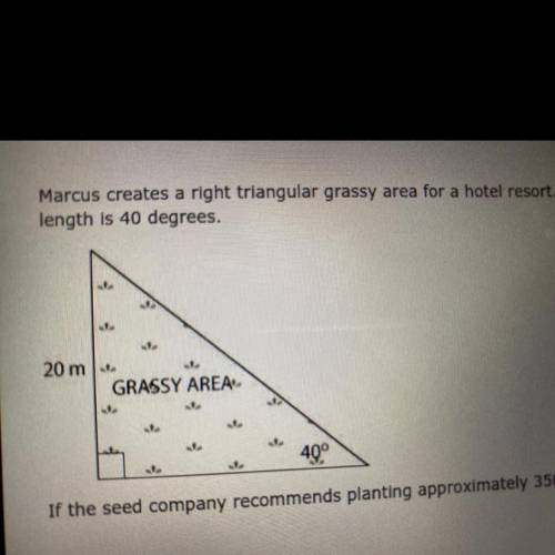 If the seed company recommends planting approximately 350 grass seeds per square meter, about how m