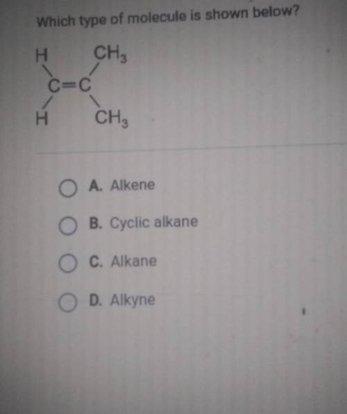 Which type of molecule is shown below? I CH3 C=C H CH3 O A. Alkene O B. Cyclic alkane O C. Alkane O