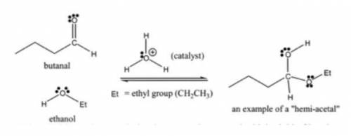 Construct a mechanism for the following reaction: