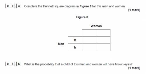 Pls help me with this question 5.4+5.5 thanks
