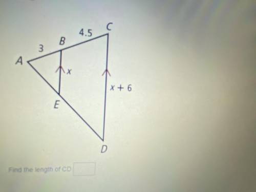 Can someone help me figure the question out it’s geometry btw!! Please and thank you!