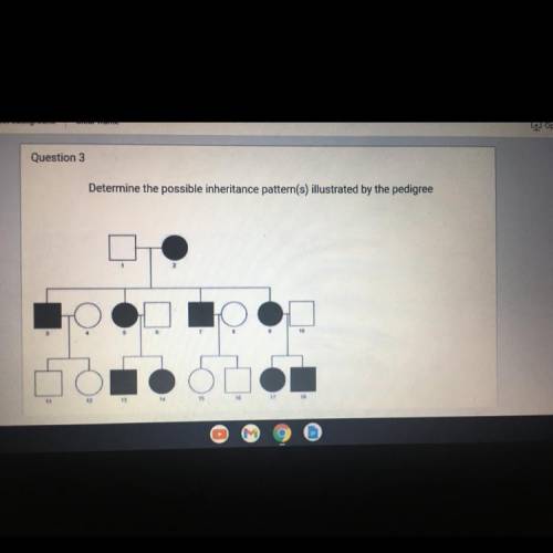 Determine the possible inheritance pattern(s) illustrated by the pedigree