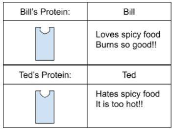 Bill and Ted are best friends. Bill eats a lot of spicy food. He eats super spicy chiles with no pr