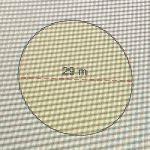 Find the area of the circle to the nearest tenth.