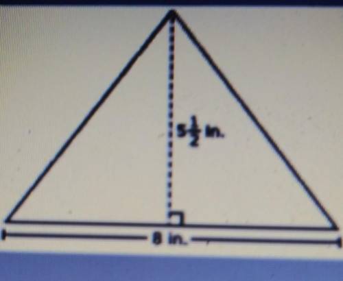What is the area of the triangle in square inches?​