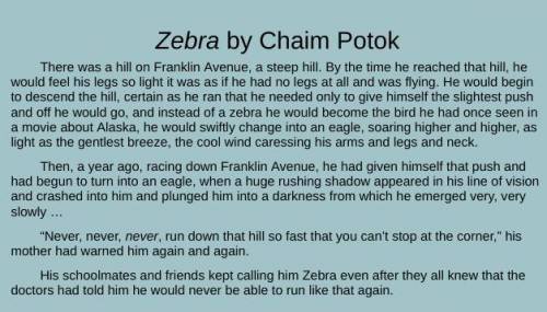 PLZ HELP!

How does Zebra feel about running? Explain. 1 paragraph.
THE STORY IS BELOW! :D