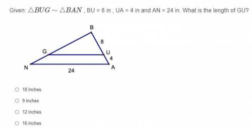 Need help with Geometry