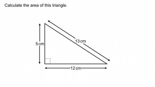 Calculate the area of the triangle