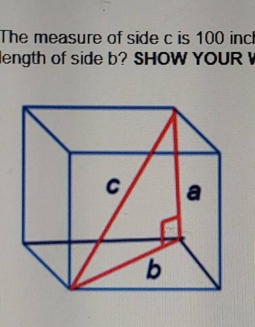 PLEASE ANSWER ASAP NO LINKS OR WILL BE REPORTED! 3. The measure of side c is 100 inches. The measur