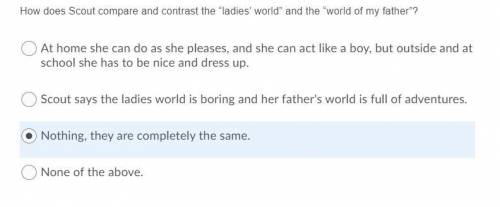 How does Scout compare and contrast the “ladies’ world” and the “world of my father”?
