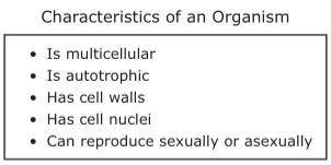 The characteristics of aparticular organism are listed below.

In which kingdom should this organi