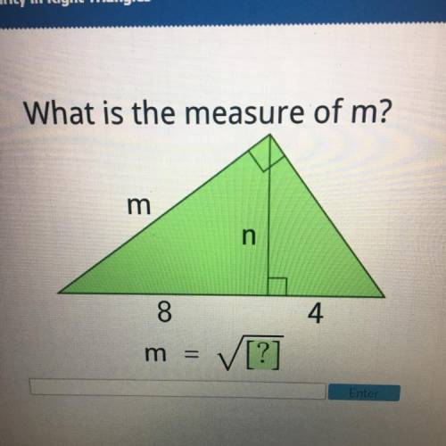 What is the measure of m?
m
n
8
4
m
=
V[?]