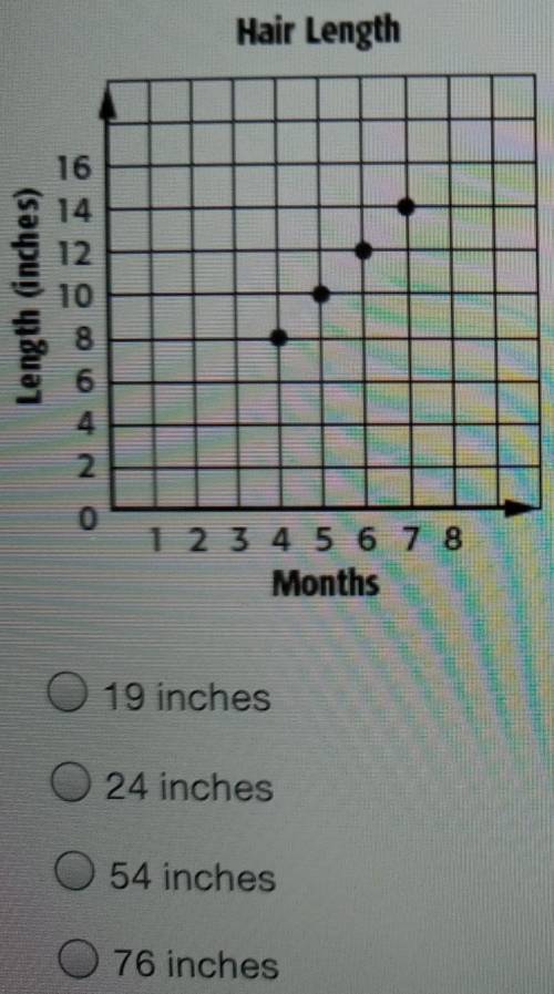 Using the graph, predict how many inches the dog's hair will grow in 38 months?​