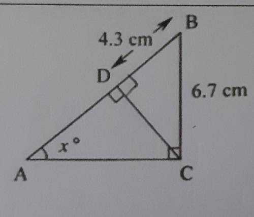 DB =4.3cm BC=6.7cmHow do I find x° ?​