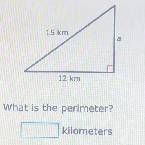 What is the perimeter?
Help plz...And No links