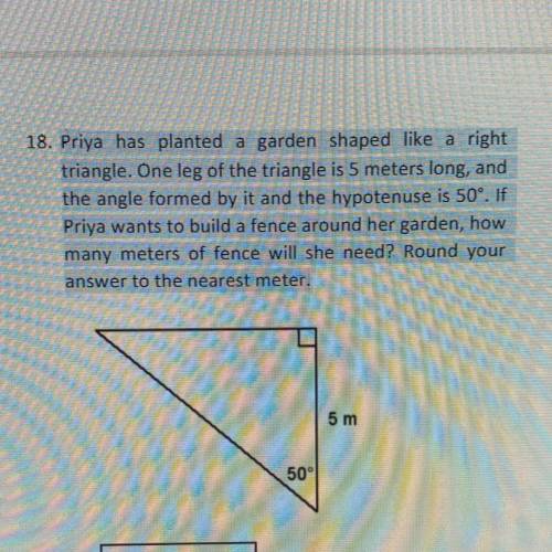 Priya has planted a garden shaped like a right triangle. One leg of the triangle is 5 meters long,