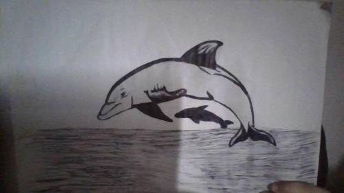 tomarrow is mothers day. my mom loves dolphines. i drew her this dolphin. should i give it to her o
