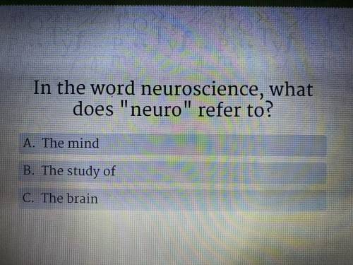 In the word neuroscience, what does “neuro” refer to?