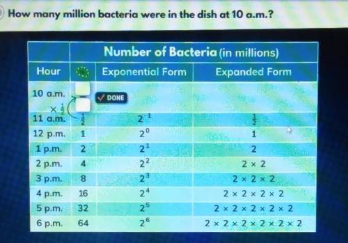 How many million bacteria were in the dish at 10 a.m.?​