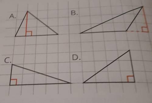 Which of these triangles does not have the same base as the others?

a. Ab. B c. Cd. D​
