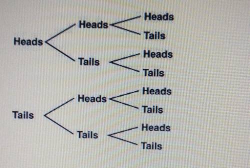 The tree diagram below illustrates the possible outcomes of three tosses of a balanced coin.

What