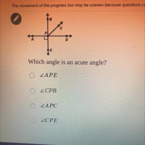Which angle is an acute angle?
A. APE
B. CPB
C. APC
D. CPE