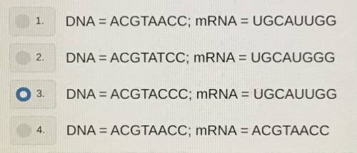 A coding strand of DNA is shown.

A substitution mutation occurs at nucleotide in position six on