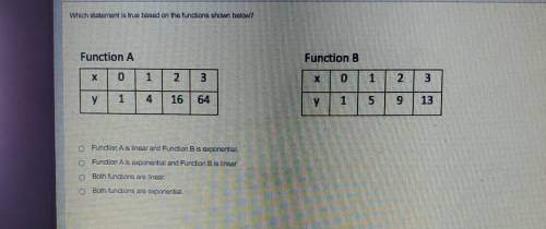 A. Function A is linear and Function B is exponential.

B. Function A is exponential and Function