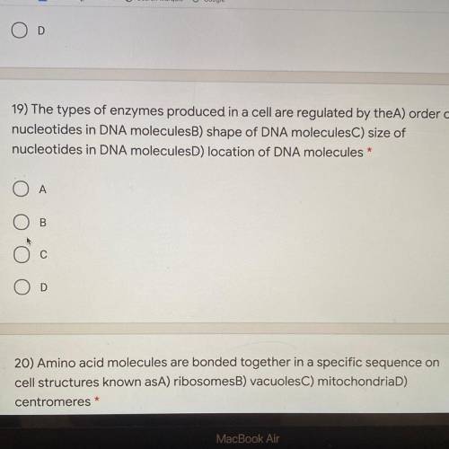 19) The types of enzymes produced in a cell are regulated by the

A) order of
nucleotides in DNA m