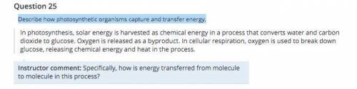 Describe how photosynthetic organisms capture and transfer energy.

My answer's good, to get full