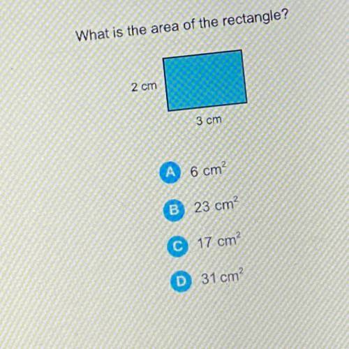 What iS the area of the rectangle?