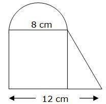 What is the area of the figure in square centimeters?

Sandra used a square, a semicircle, and a r