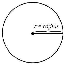 What is the difference between a diameter and a radius?