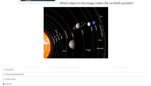 Which object in the image makes life on Earth possible?