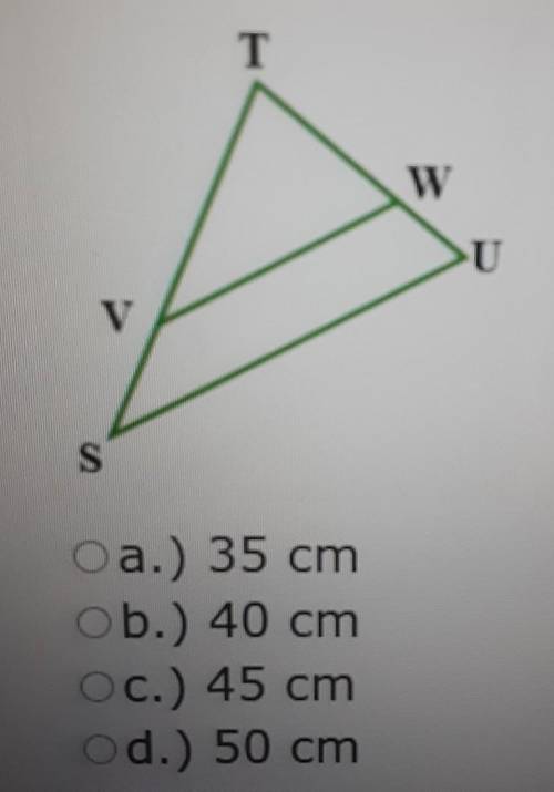 1) If the perimeter of triangle STU is 125 cm, and segments TW, VW, and VT measure 21 cm, 30 cm, an