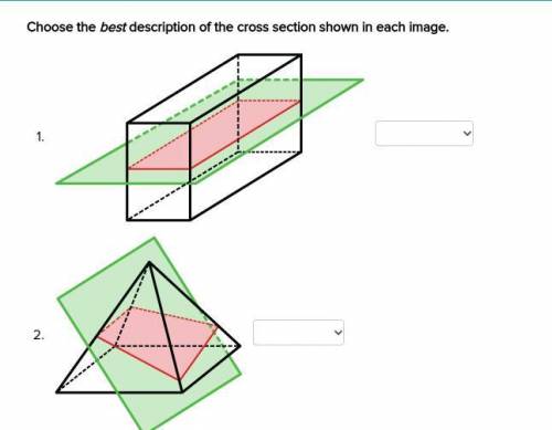 Choose the best description of the cross section shown in each image.
