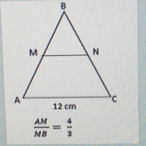 Calculate MN if AC is
parallel to MN.
Please I really need your help
