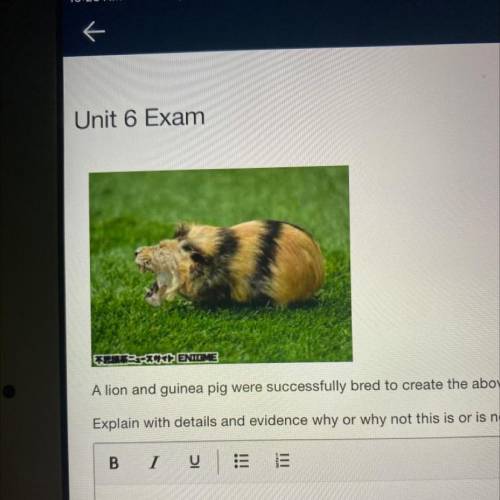 Unit 6 Exam

A lion and guinea pig were successfully bred to create the above little guy (super co