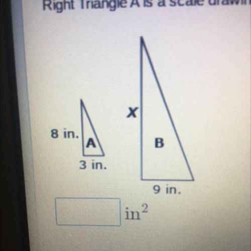 Please help!!!

Right Triangle A is a scale drawing of Right Triangle B. What is the area of right