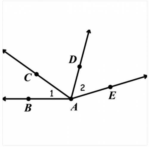 True or False:

In the diagram, ∠1 and ∠2 are adjacent angles.
Explain your thinking.